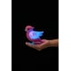 Little Live Pets - Petit oiseau : Skyler – image 4 sur 4