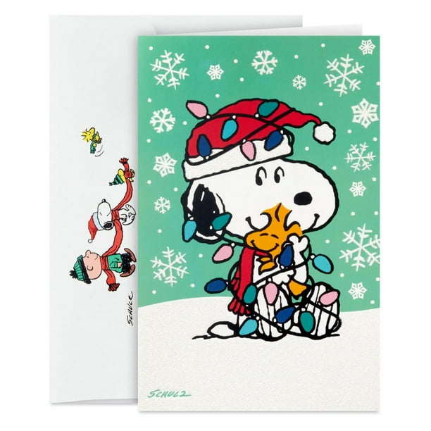 Connections from Hallmark Peanuts Snoopy and Woodstock Hugging Boxed