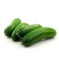 thumbnail image 1 of Cucumber, Mini, 1 Tray, 1 of 1