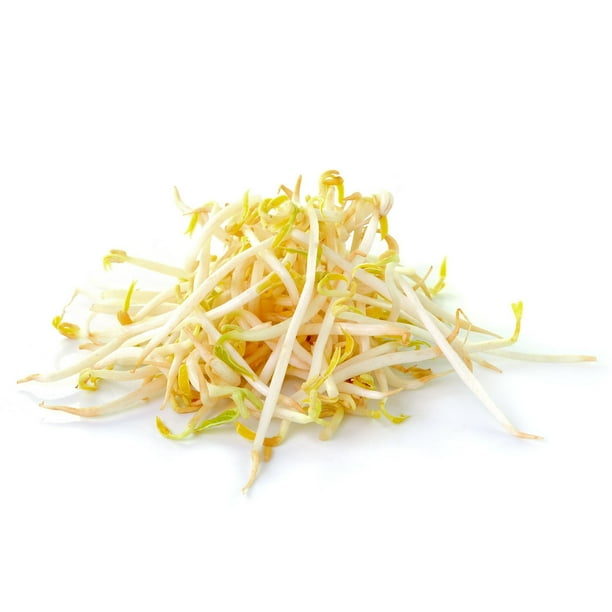Bean Sprouts, 1 lb Walmart.ca