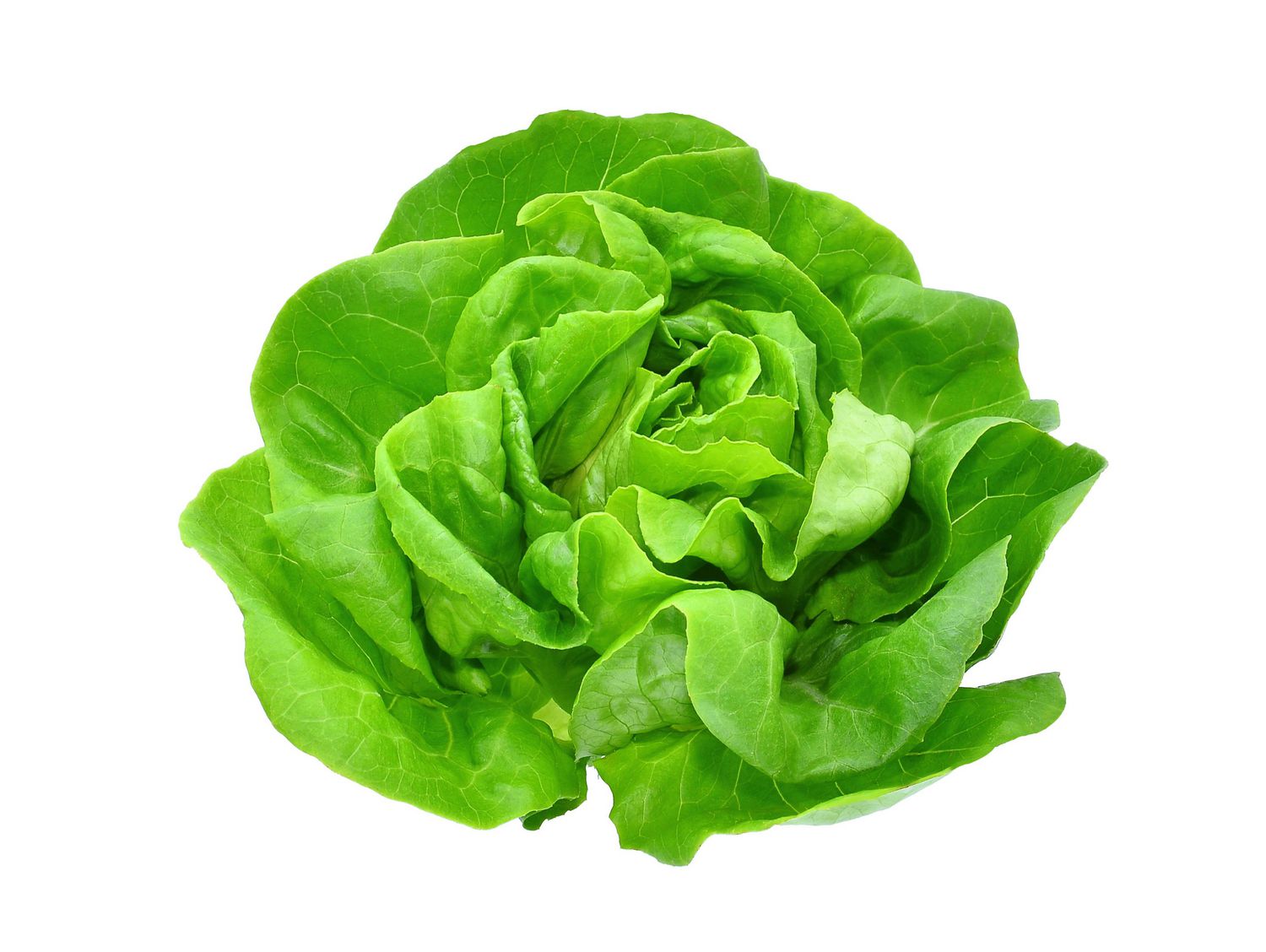 Lettuce Butter Walmart Canada   6000198573728 