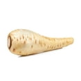 thumbnail image 1 of Parsnip, Sold in singles, 0.02 - 0.14 KG, 1 of 3