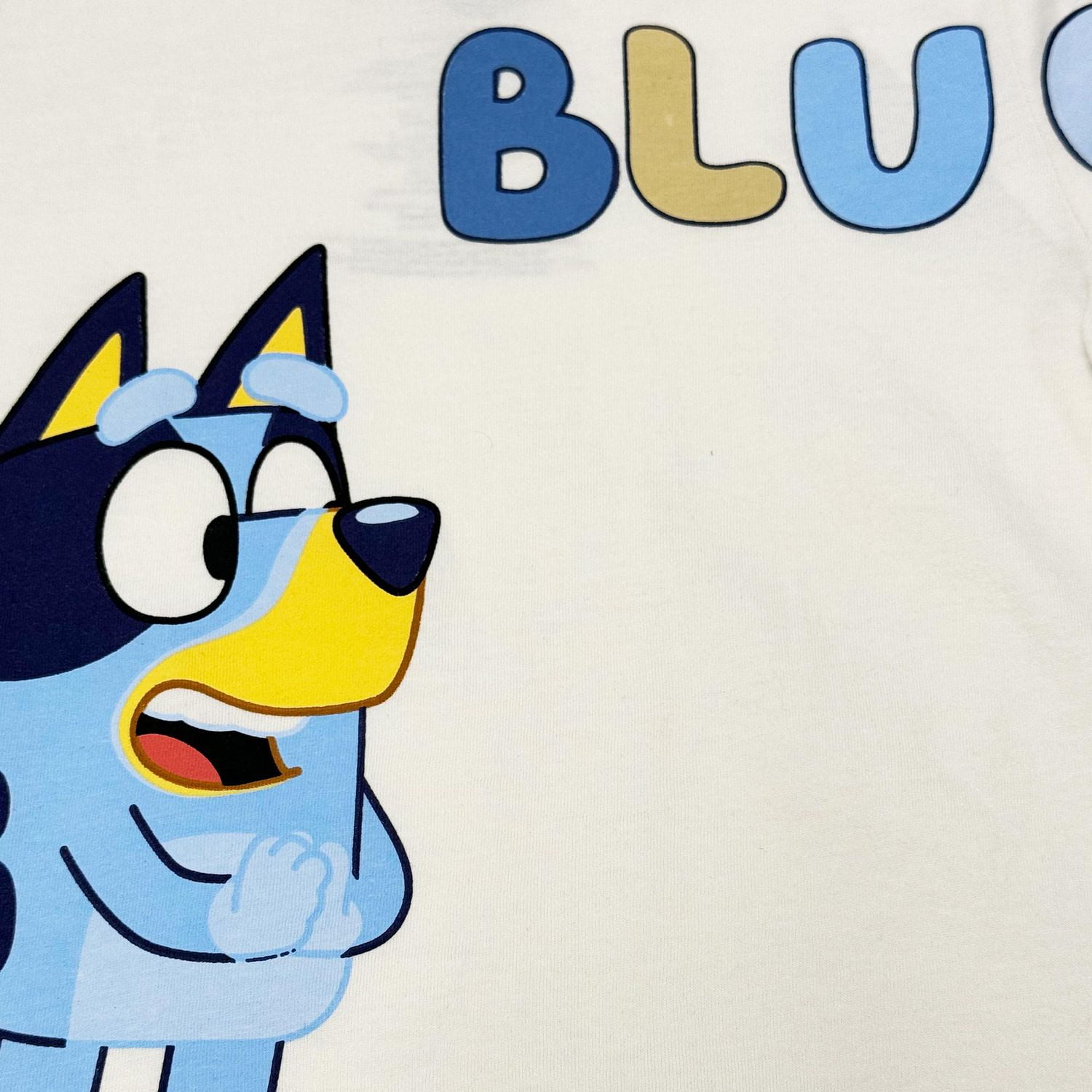 Bluey Toddler Boys 2 Piece Spell Set