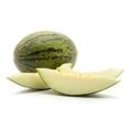 thumbnail image 1 of Santa Claus Melon, Single, 1 of 1