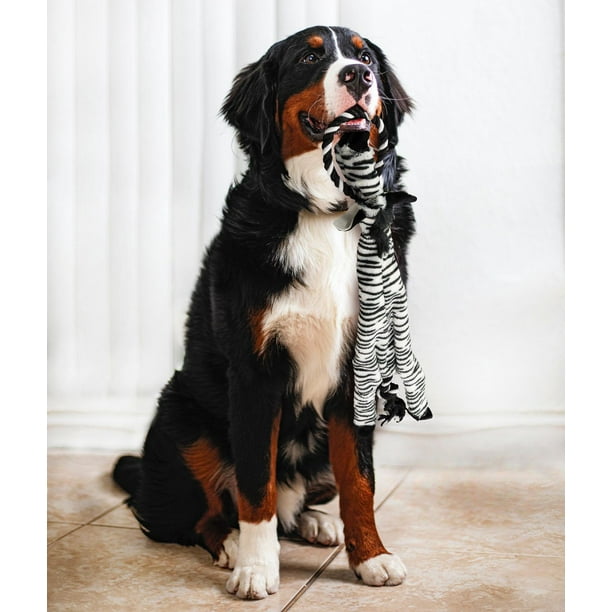 SPOT Skinneeez Extreme™ jouet pour chien sans rembourrage zèbre