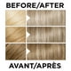 L'Oréal Paris Superior Preference Coloration Permanente Couverture du gris à 100%, 1un – image 4 sur 7