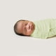 Couverture ajustable pour bébé SwaddleMe de Summer Infant Petite - Sage – image 2 sur 3