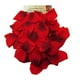 Petales de rose parfumés rouge – image 1 sur 1