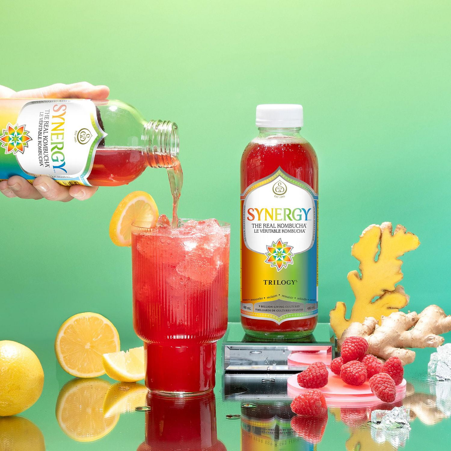 GT KOMBUCHA Synergy Trilogy 480ml - biologique et cru