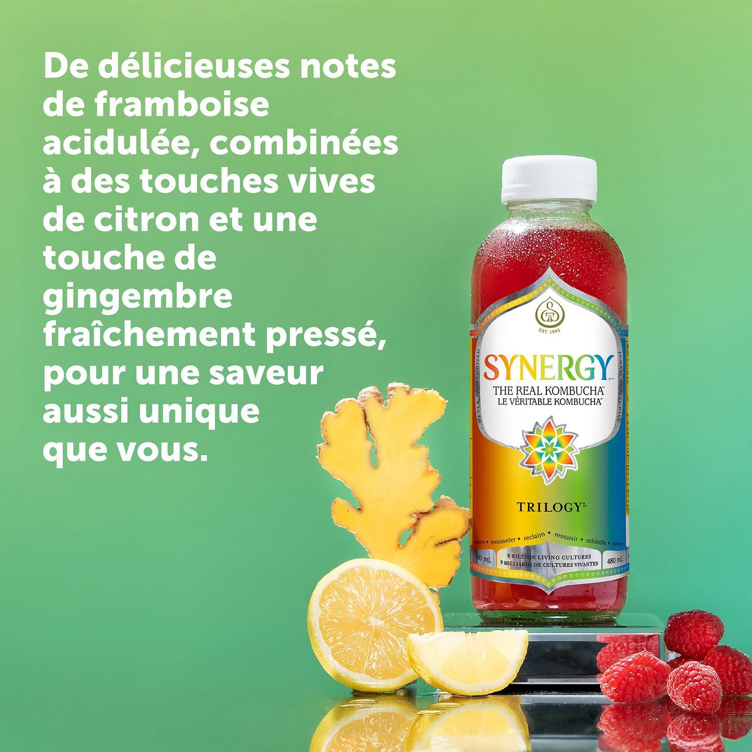 Synergy The Real Kombucha Trilogy, 480ml