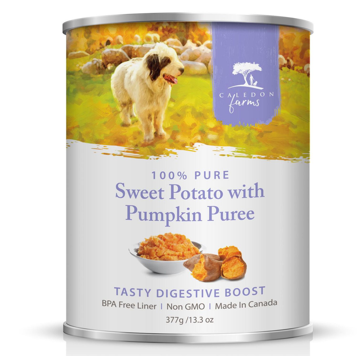 pumpkin puree for dogs