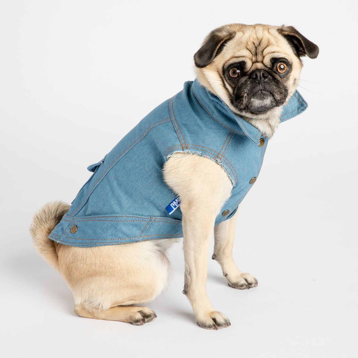 pmp pet apparel