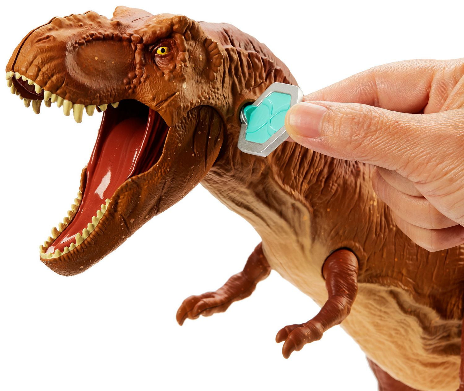 Tyrannosaurus best sale anatomy kit