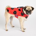 thumbnail image 2 of PMP Lady bug character rain coat, 2 of 5