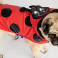 thumbnail image 3 of PMP Lady bug character rain coat, 3 of 5