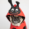 thumbnail image 4 of PMP Lady bug character rain coat, 4 of 5