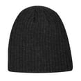 thumbnail image 1 of Hot Paws Men's Knit Hat, 1 of 1