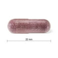 thumbnail image 3 of Jamieson Black Elderberry 4500 mg Capsules, 45 Count, 3 of 8