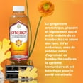 thumbnail image 4 of SYNERGY LE VÉRITABLE KOMBUCHA Mangue Mystique, 4 of 6