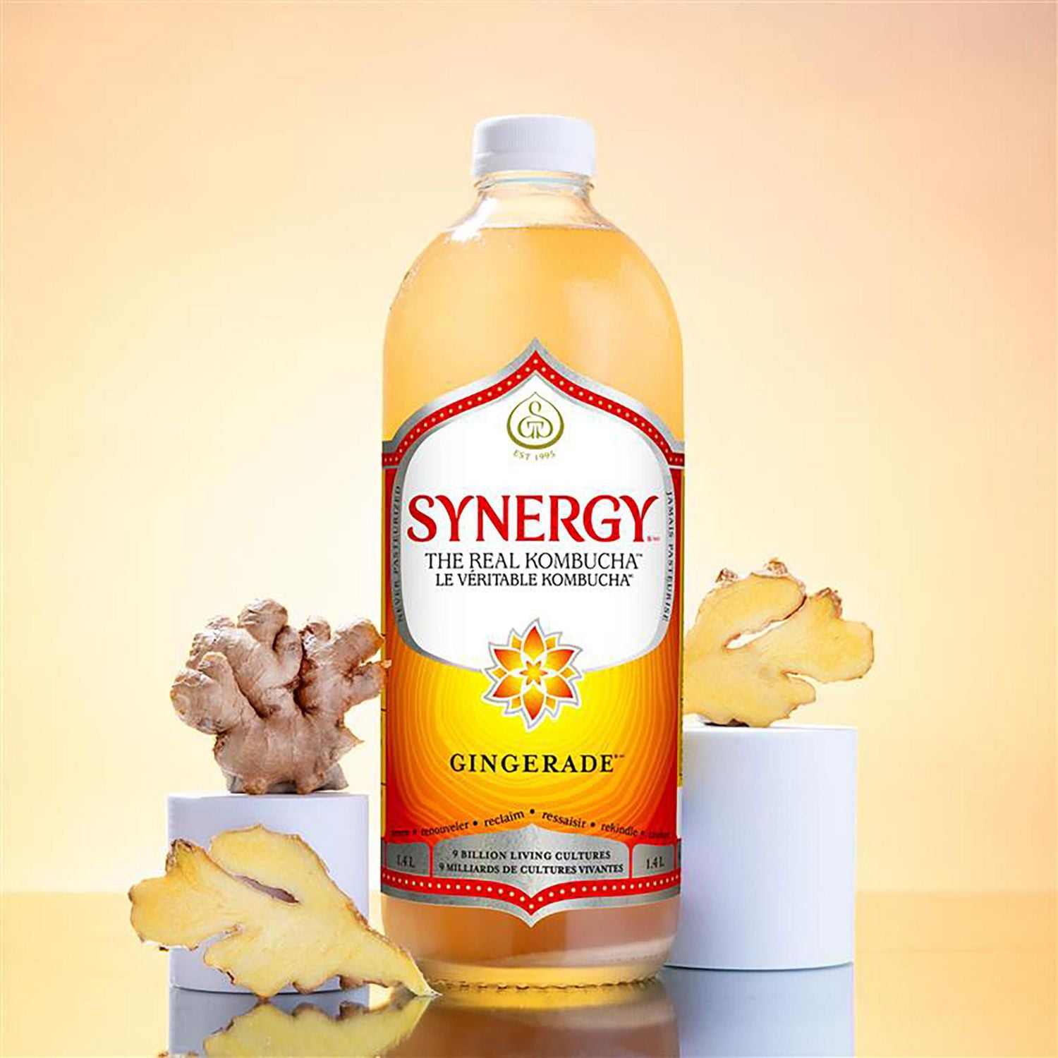 Synergy The Real Kombucha Gingerade, 1.4 Litre
