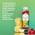 thumbnail image 3 of Synergy The Real Kombucha Trilogy, 1.4 Litre, 3 of 6