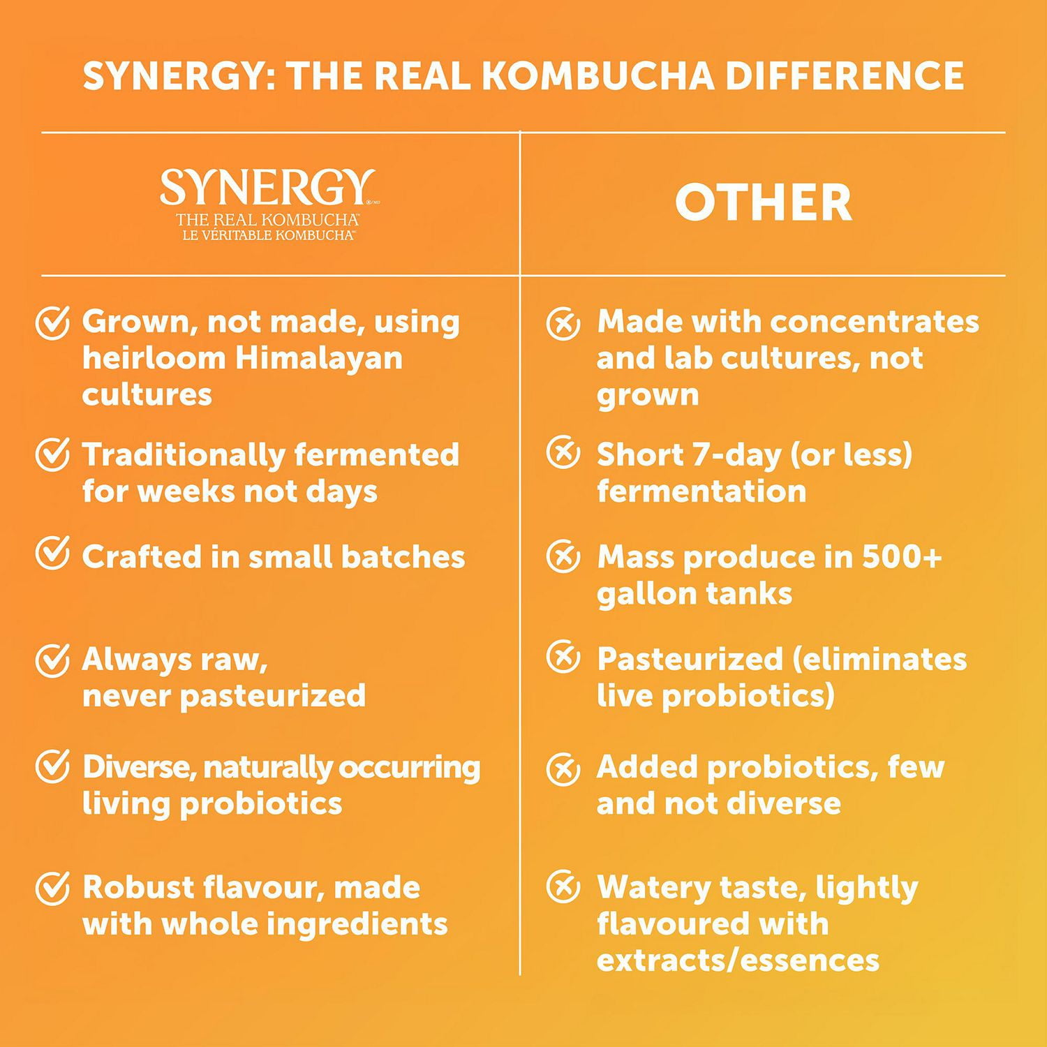 Synergy The Real Kombucha Gingerade, 1.4 Litre