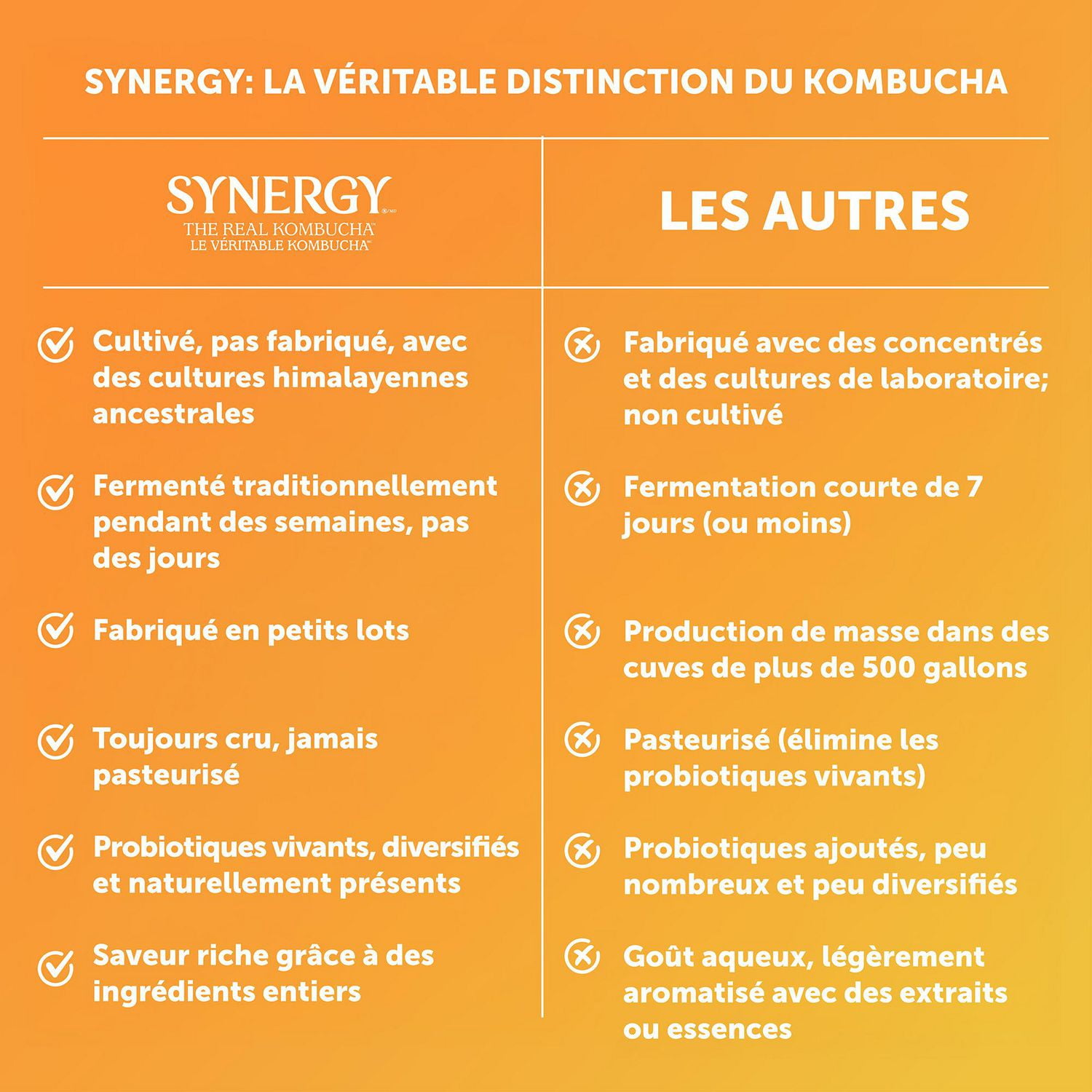 Synergy The Real Kombucha Gingerade, 1.4 Litre