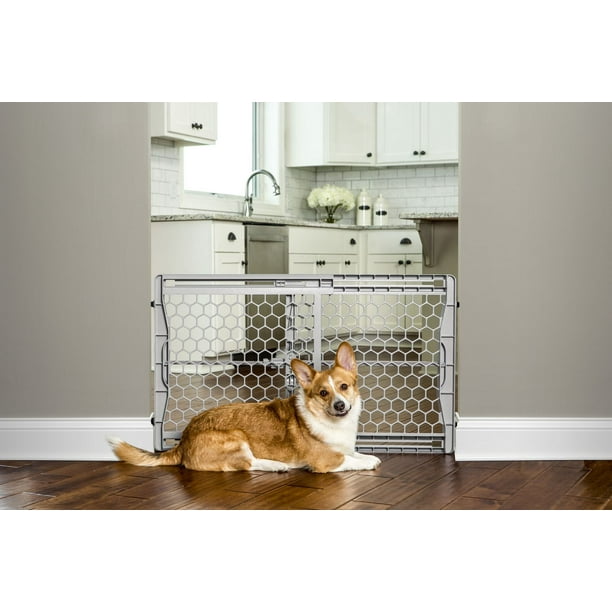  Carlson Pet Products Easy Fit Plastic Adjustable Pet Gate, Fits  Openings 28-42 Wide, Includes Rubber Pads to Protect Walls,Gray :  Everything Else