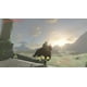 Switch The Legend of Zelda: Breath of the Wild [Download] – image 4 sur 9