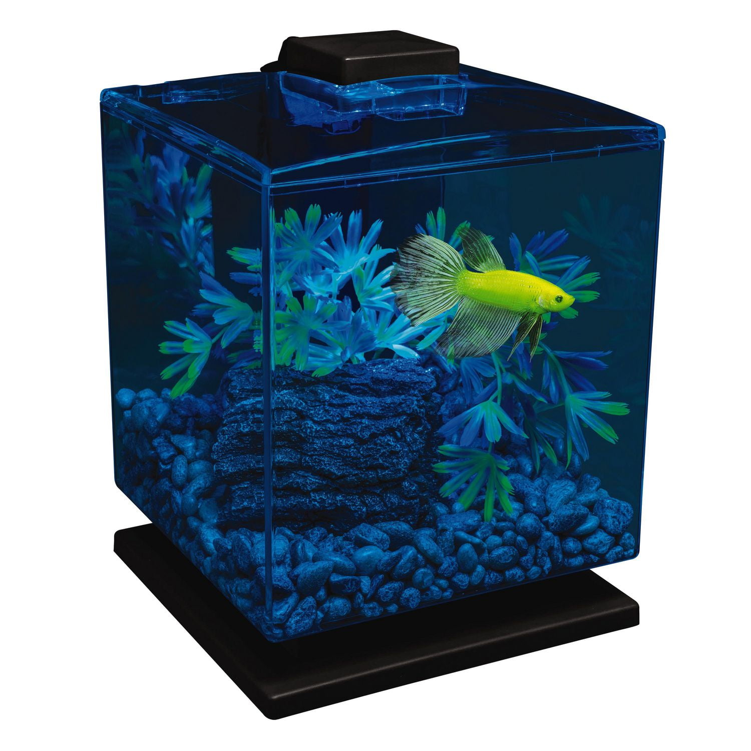 GloFish Aquarium Kit Perfect Starter Tank, 5 Gallon 