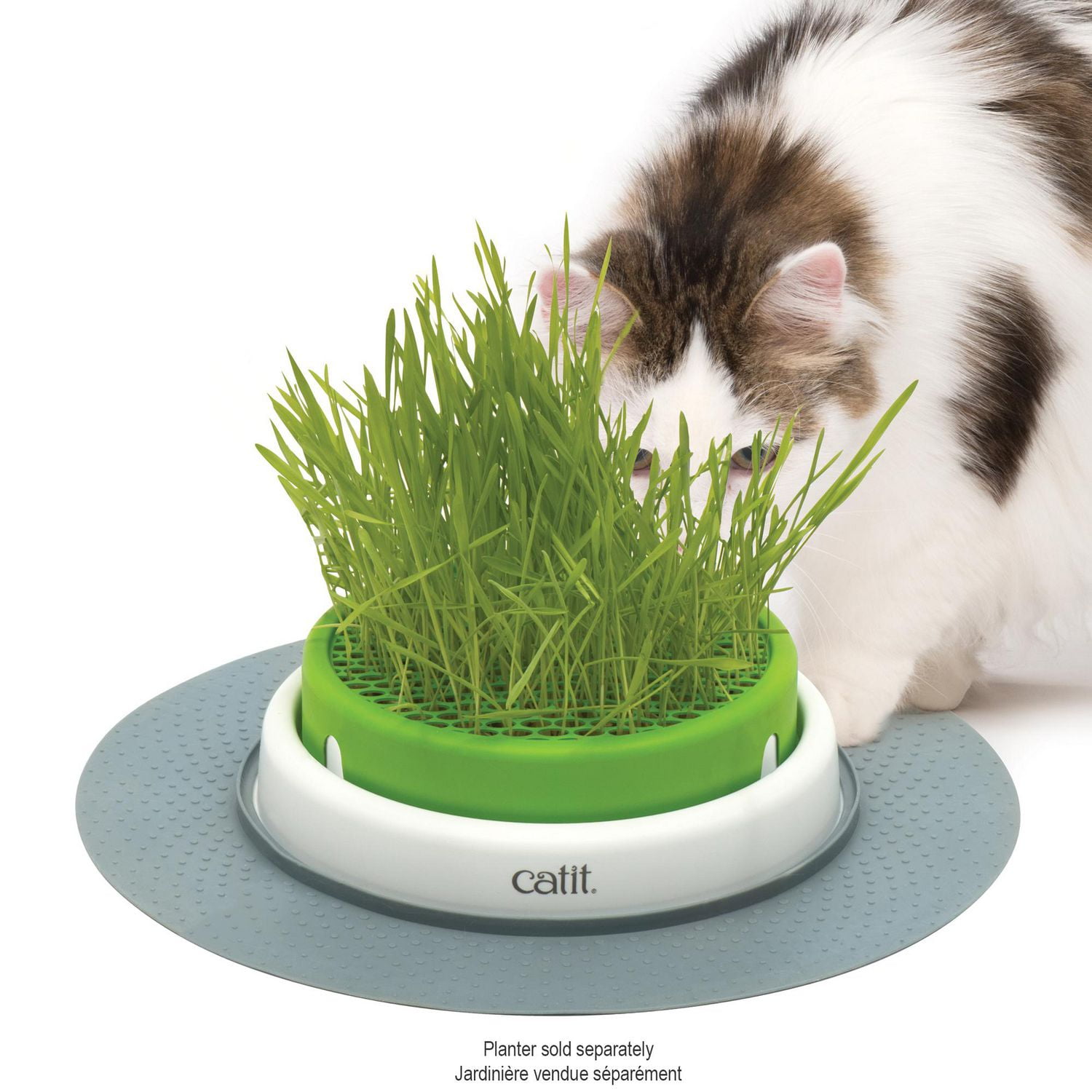 Catit Senses 2.0 Cat Grass Refill (Seeds Only)