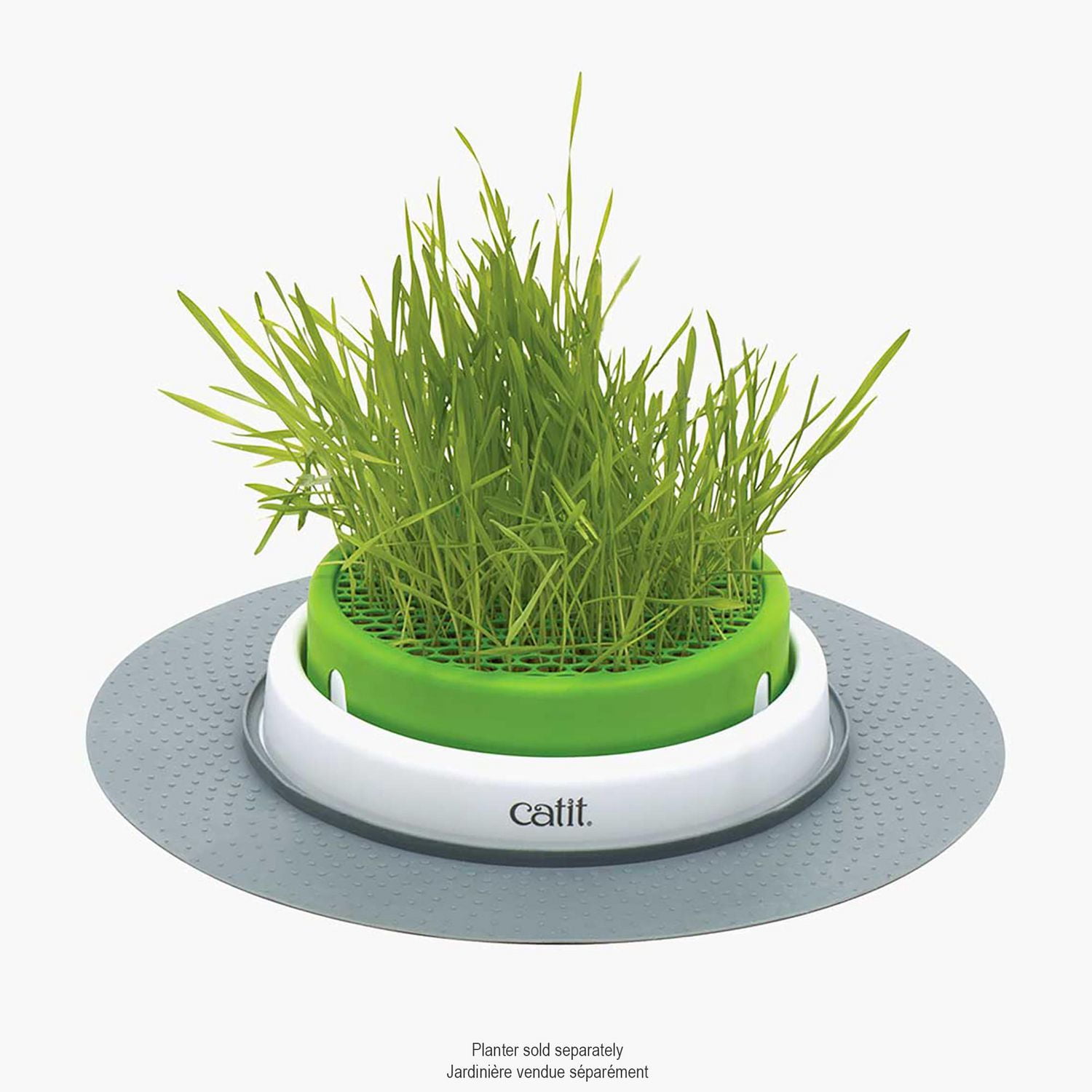 Catit Senses 2.0 Cat Grass Refill (Seeds Only)