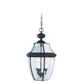 thumbnail image 1 of Fechner 3-Lumière Suspension Extérieur, Noir, 1 of 1