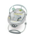 thumbnail image 1 of INGENUITY™ GENTLE AUTOMATIC BOUNCER™ - AVONDALE™, 1 of 1