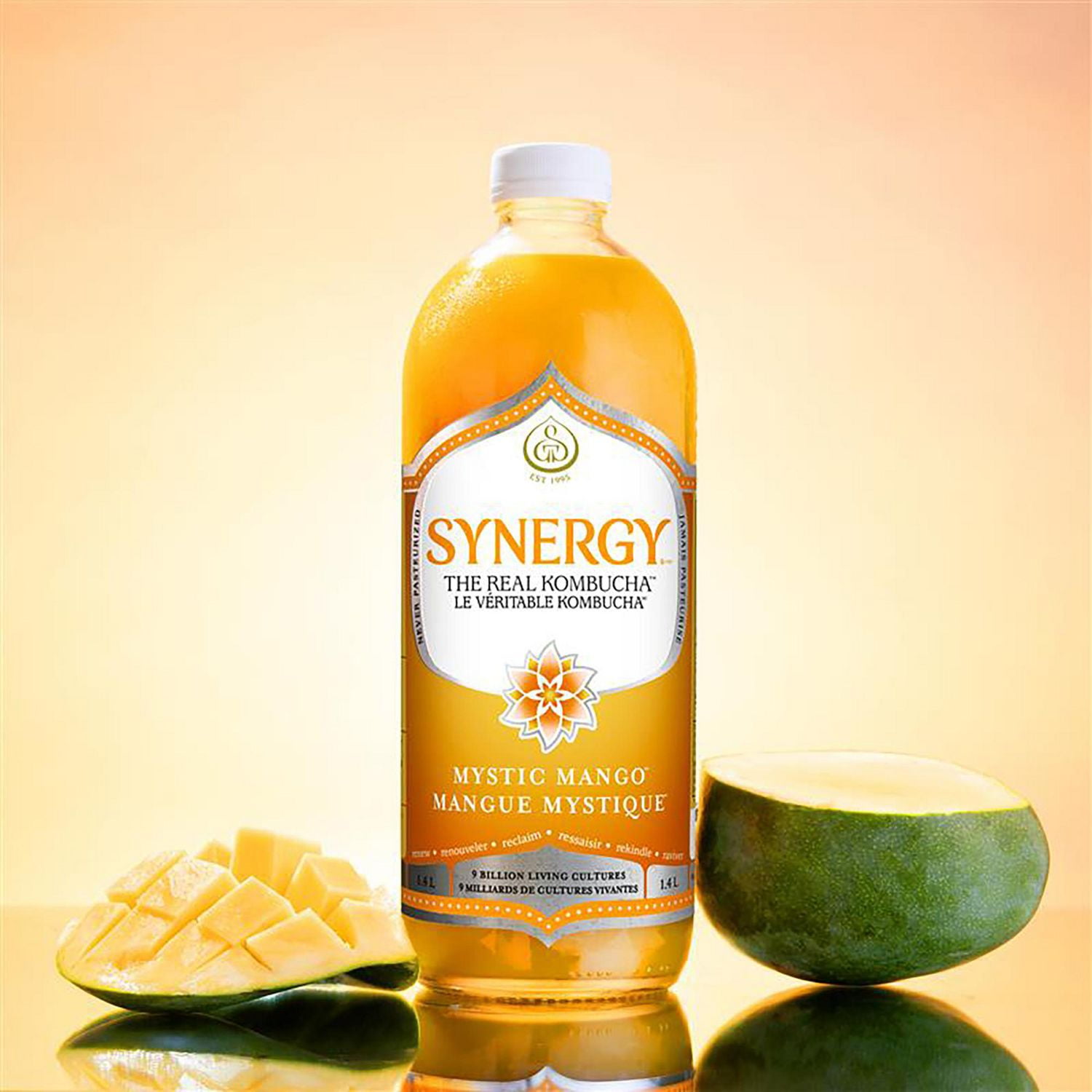 SYNERGY LE VÉRITABLE KOMBUCHA Mangue Mystique 1.4l