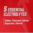 thumbnail image 2 of BioSteel RTD Thé Glacé 12 x 500 ml, 2 of 3