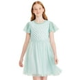 thumbnail image 1 of Robe en maille à paillettes George pour filles, 1 of 1