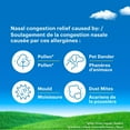 thumbnail image 4 of Claritin Allergy Decongestant Nasal Spray, 12-Hour, Fast Acting Relief, 4 of 5