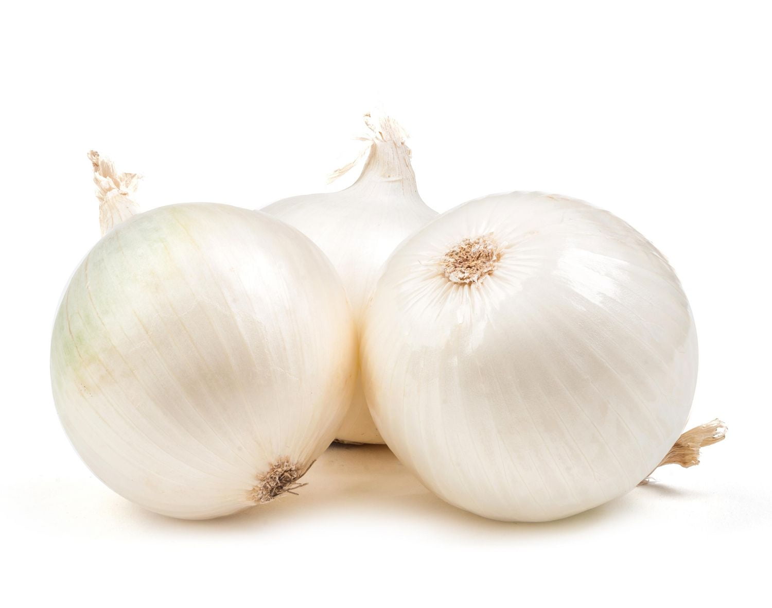 Onions, White Walmart Canada