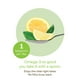 Liquide Omega 3 NutraSea de Nature's Way à saveur de citron Maintien d'une bonne santé – image 2 sur 8