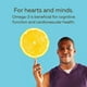 Liquide Omega 3 NutraSea de Nature's Way à saveur de citron Maintien d'une bonne santé – image 4 sur 8