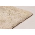 thumbnail image 2 of Tapis  Soho Beige Polypropylène Shag 6'7" x 9'6", 2 of 6