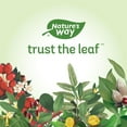 thumbnail image 4 of Nature's Way Hawthorn Berries Capsules, 4 of 6