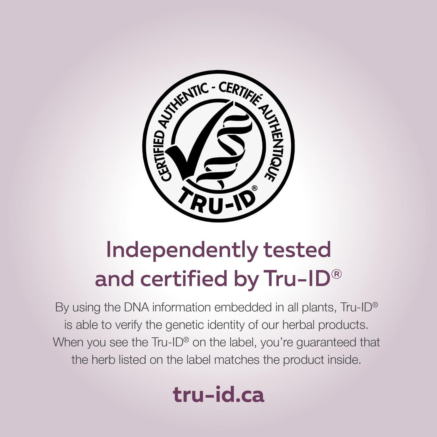 'Curcuma, extrait normalisé