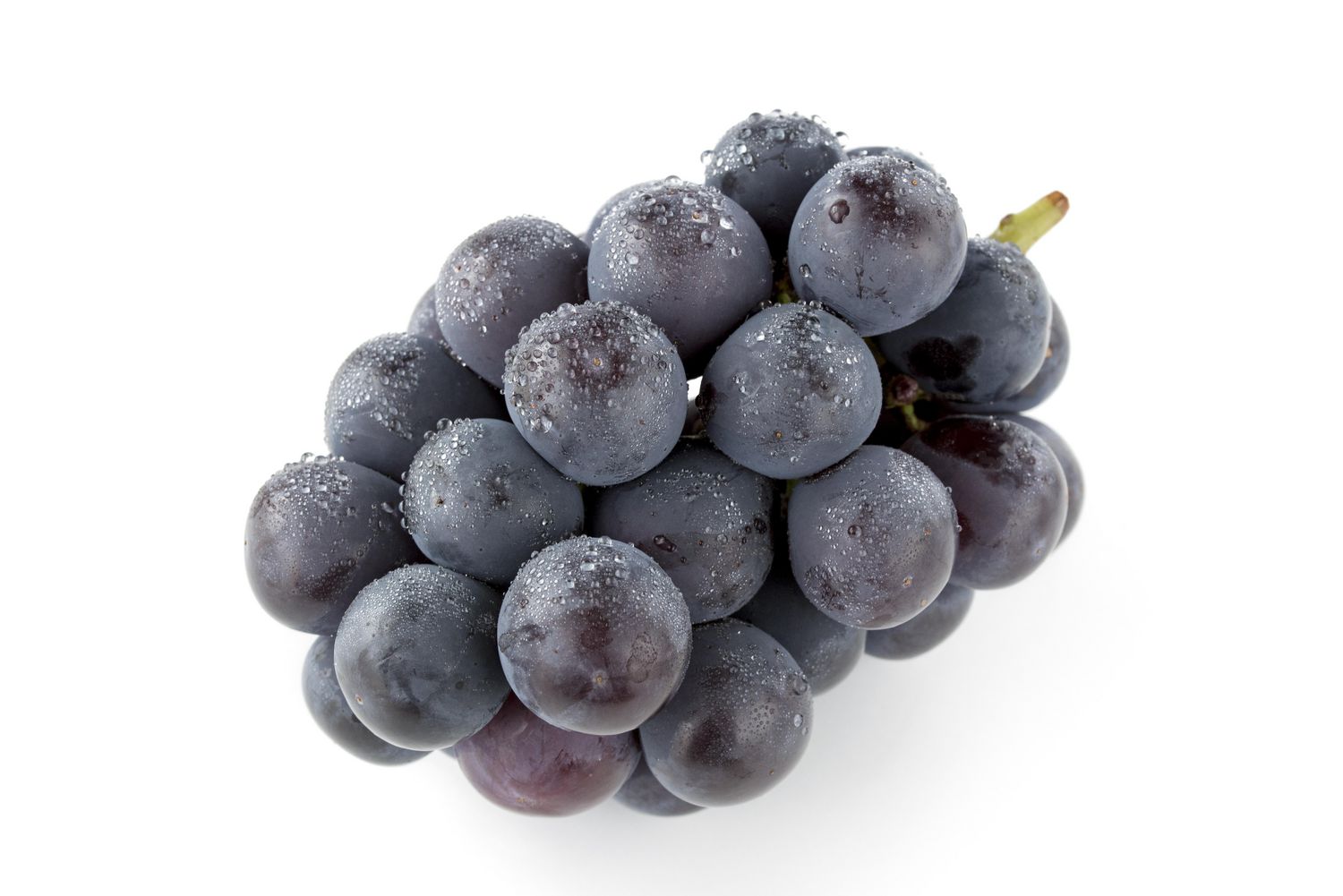 Black Seedless Grapes