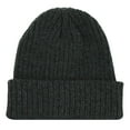 thumbnail image 1 of Hot Paws Men's Knit Hat, 1 of 1