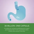 thumbnail image 3 of Capsule probiotique Primadophilus Fortify de Nature's Way, 3 of 8