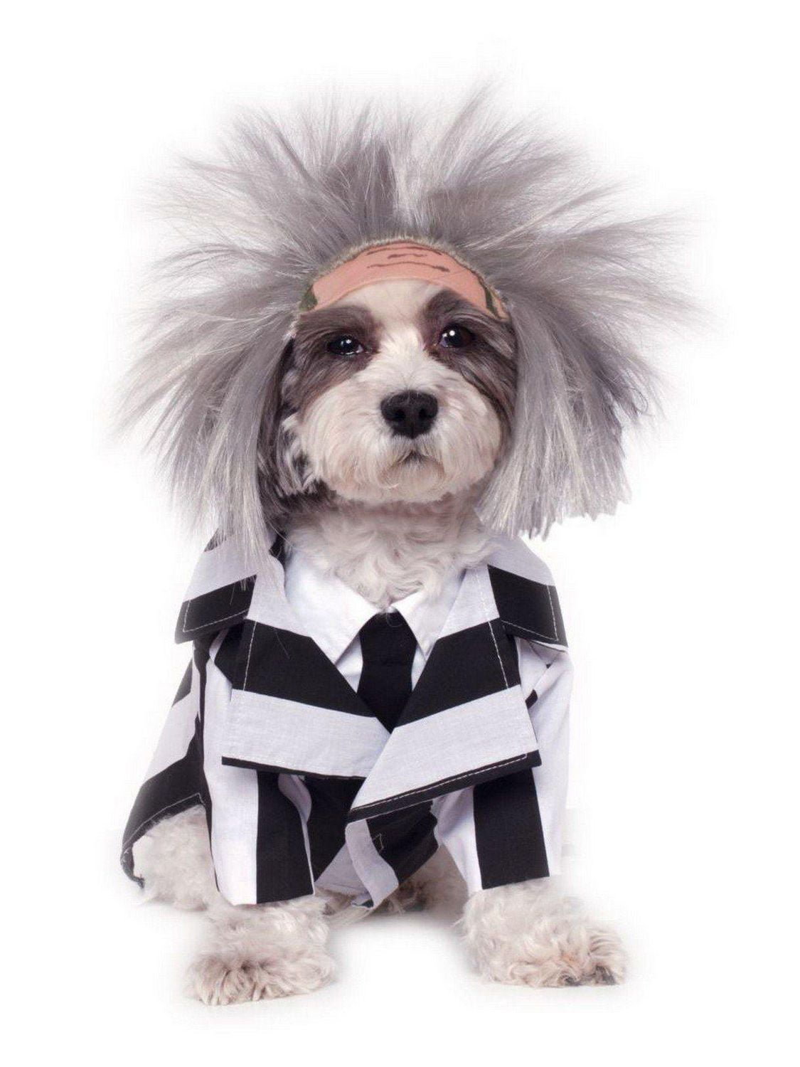 Beetlejuice Pet Costume Walmart Canada