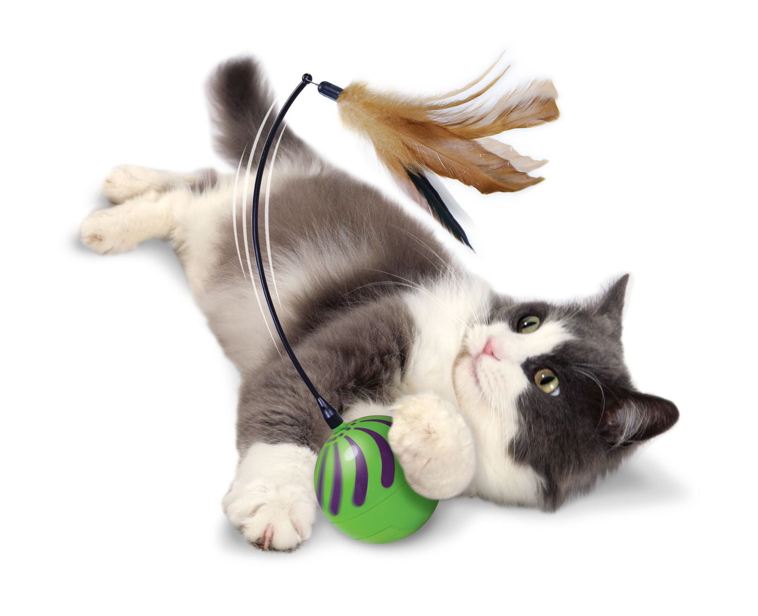 Feather whirl cat outlet toy