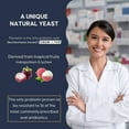 thumbnail image 4 of Florastor Daily Probiotic Supplement for Digestive Health, 50 Capsules, 4 of 7